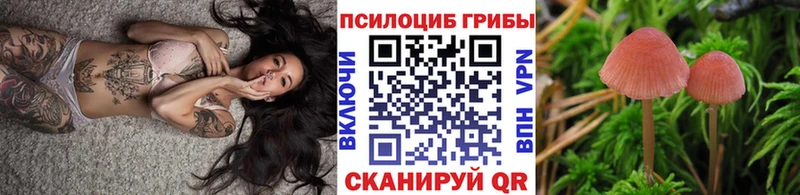 Псилоцибиновые грибы MAGIC MUSHROOMS  Купить закладки  Апрелевка 